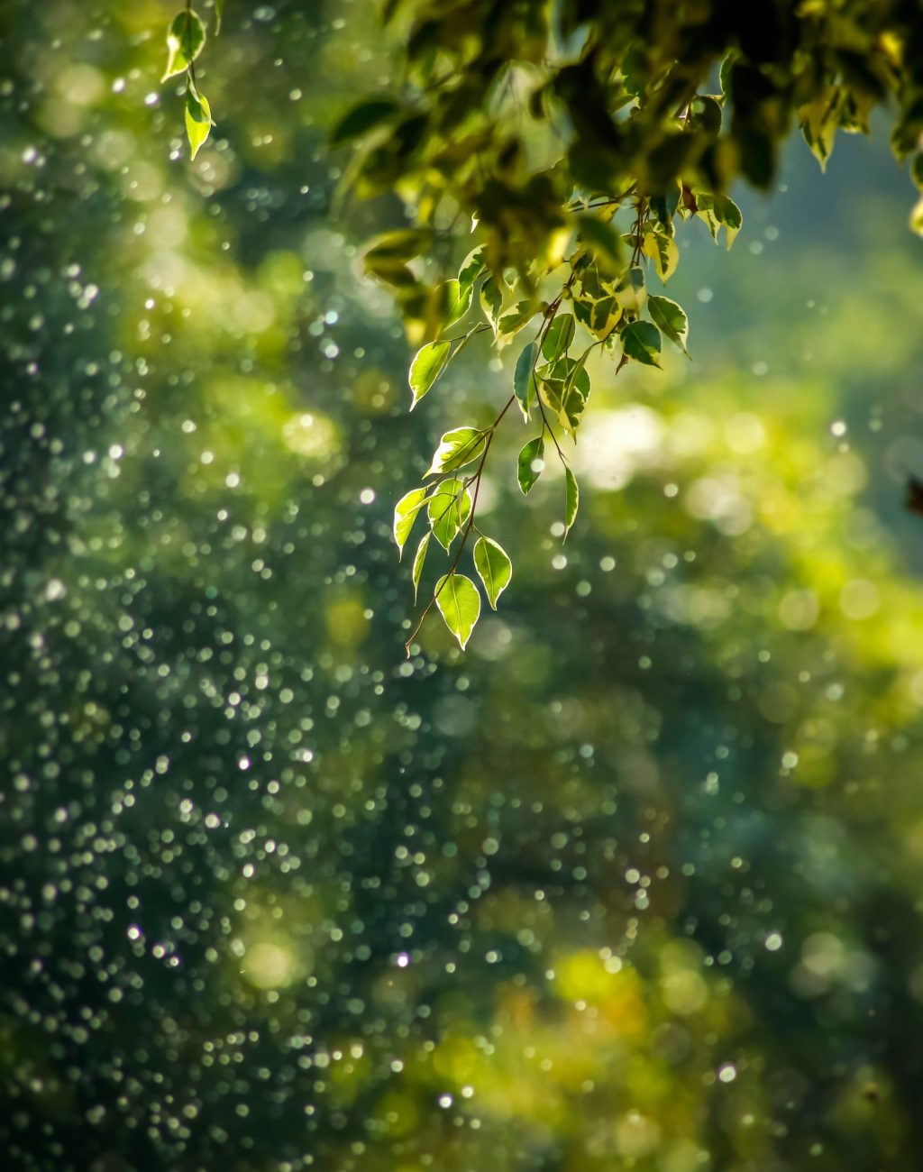 goutham-krishna-h5wvMCdOV3w-unsplash
